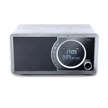Акустика Sharp DR-450 Gray: Цвет серый