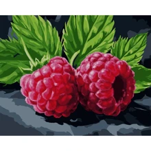 Картина по номерам с алмазной мозаикой SANTI Сочная малина 40x50 см (954873): Производитель SANTI