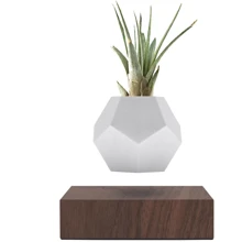 Левитирующий вазон Flyte Planter орех (01-LWAL-MUL-V1-0): Производитель Flyte