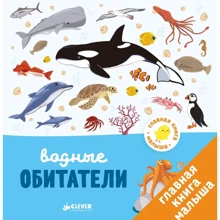 Аньес Бессон: Водные обитатели: Производитель Клевер Медиа Групп
