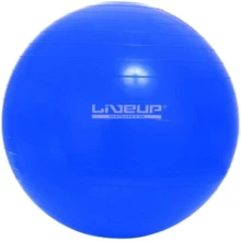 Мяч для фитнеса LiveUp Gym Ball 65 см голубой (LS3221-65b): Диаметр, см 65
