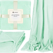 Плед Springos Extra Soft 130x180 см мятный (HA7133): Производитель Springos