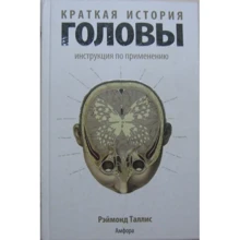 Реймонд Талліс: Коротка історія голови: Виробник Амфора