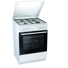 Газовая плита Gorenje G6111WJ: Тип устройства кухонная плита