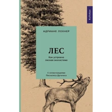 Адриане Лохнер: Лес. Как устроена лесная экосистема: Производитель Колибри