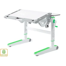 Детский стол Mealux Ergowood L (BD-810 W/Z): Тип Парта