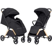 Прогулянковий візок Carrello Cross CRL-5523 Raven Black: Тип коляски Прогулочная