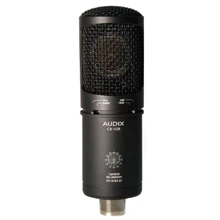 Микрофон AUDIX CX-112B: Тип Вокальные