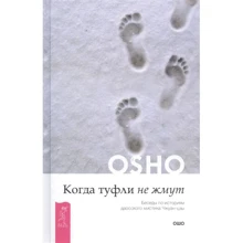 Ошо: Коли туфлі не тиснуть. Бесіди з історії даоського містика Чжуан-цзи: Виробник Весь