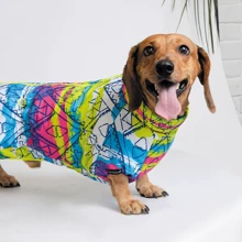 Комбинезон для собак Pet Fashion PUZZLE M разноцветный: Тип Комбинезоны