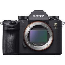 Sony Alpha A9 body Официальная гарантия: Тип матрицы CMOS