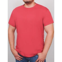 Футболка PFProject BIG NEWTOWN 5XL теракотова: Вид футболки