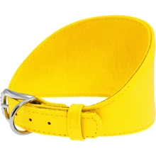 Ошейник WAUDOG Glamour для борзых собак, без украшений 60 мм 26-32 см желтый (34658): Производитель WAUDOG