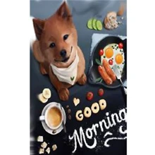 Картина по номерам Josef Otten Good morning 20х30 см (2172RAS): Производитель Josef Otten
