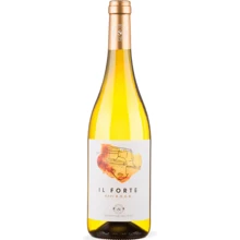 Вино Gavi Il Forte DOCG, белое сухое, 0.75л (WNF8004069801631): Страна производитель Италия