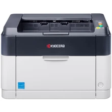 Принтер Kyocera FS-1040 + тонер TK-1110 (1040TONBUNDLE): Класс устройства Офисный