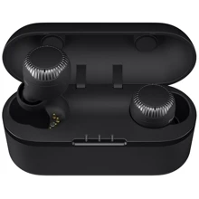 Наушники Panasonic RZ-S300WGE-K Black: Тип конструкции вакуумные