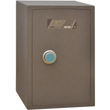 Сейф Safetronics NTR 61E: Тип Депозитний
