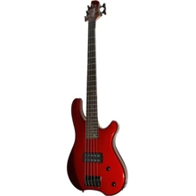 Бас-гитара Fernandes Tremor 5X (MTR): Тип Бас-гитара