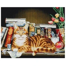 Алмазна мозаїка Brushme Кіт серед книг 40х50 см (GF5459): Виробник Brushme