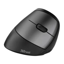 Мышь Trust Bayo Ergonomic Rechargeable WL Black (24110): Интерфейс подключения Wireless