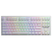 Клавиатура HATOR Skyfall TKL PRO Wireless White (HTK-664): Подключение беспроводное