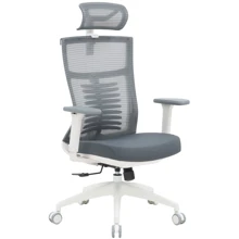 Офісне крісло OfficePro Balance (OC550-W-DG-DG): Тип для персоналу