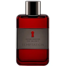 Туалетная вода Antonio Banderas The Secret Temptation 100 ml: Вид Туалетная вода