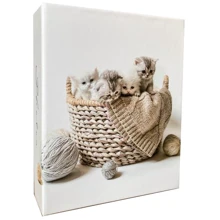 Альбом EVG 10x15x200 BKM46200 FAMILY: Тип Фотоальбомы