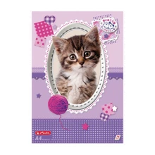 Альбом для рисования Herlitz A4 75л 70г Pretty Pets Cat: Тип скрепления Проклеен