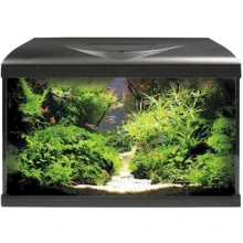 Аквариум Amtra System 60 Led Black 60 л с фильтром, помпой и нагревателем 60x32x42 см (A2001038): Производитель Amtra