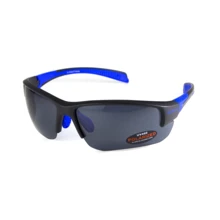 Спортивные очки Очки поляризационные BluWater Samson-3 Polarized (gray) серые (4САМС3-20П): Назначение Для туризма и активного отдыха, Для рыбалки, Велосипедные