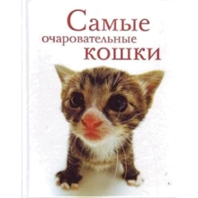 Самые очаровательные кошки: Производитель Центрполиграф