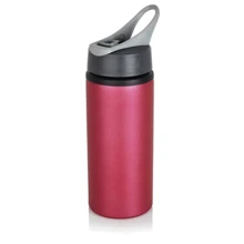 Спортивна пляшка Loooqs Спорт Актив 600мл (P436.569): Виробник Loooqs