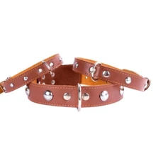 Ошейник Collar двойной с украшением (ш 14мм, д 27-35см) коричневый: Производитель Collar