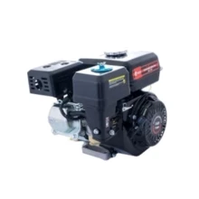 Бензиновый двигатель EDON ED-168/7.0HP (1018202): Производитель EDON