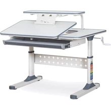 Детский стол Ergokids TH-320 Grey (арт. TH-320 W/G): Тип Парта