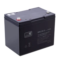MWC CARBON 12V-80Ah (MWC 12-80C): Тип Аккумулятор