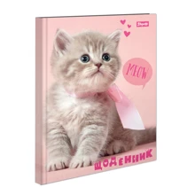 Щоденник шкільний жорсткий 1 Вересня (укр.) Hello kitten (911140): Виробник 1 Вересня