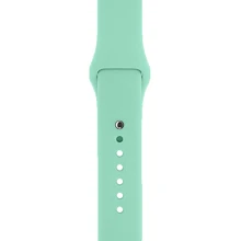 Аксессуар для Watch ArmorStandart Sport Band (3 Straps) Succulent (ARM65081) for Apple Watch 38/40/41mm: Производитель ArmorStandart