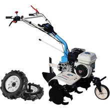 Культиватор AGT 6500 GP160 (PF650GP16X/E): Производитель AGT