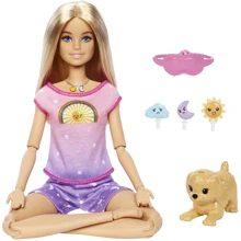 Кукла Mattel Barbie Медитация днем ​​и ночью: Возраст от 3 лет