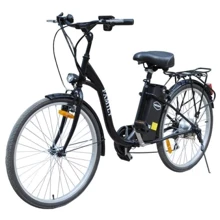 Электровелосипед VEGA FAMILY 2 (Black): Цвет черный