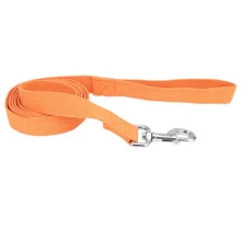 Повідець Coastal New Earth Soy Dog Leash для помаранчевий собак 2.5смх1.83 м (56718): Тип Поводок