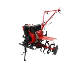 Культиватор Forte 1050DIF (колеса 10", 6,5лс): Производитель Forte