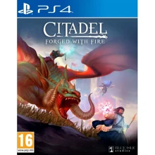 Citadel: Forged with Fire (PS4): Серия приставки PlayStation 4