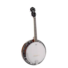 Банджо Richwood RMB-604-SS: Тип Мандолины и банджо