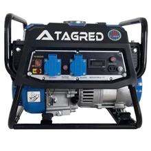 Tagred TA1600AVR: Тип електростанції бензиновий