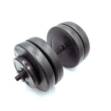 Гантель Newt Rock Pro 23 кг наборная композитная (NE-PL-G-023): Вес гантели, кг 23