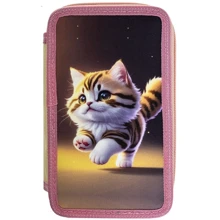 Пенал CLASS Kitty 2 відділення (25304C): Стать для дівчаток